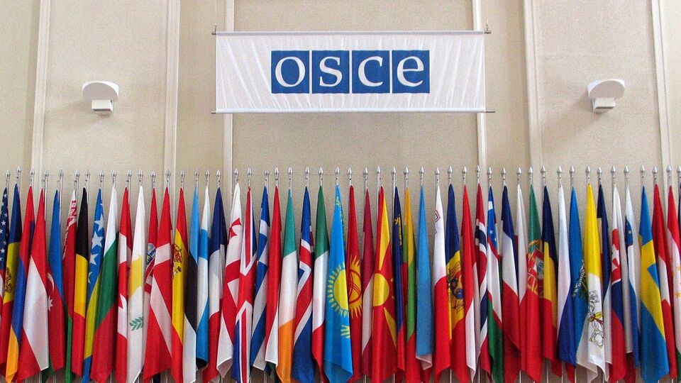 С начала полномасштабного вторжения РФ в Украину организации удалось преодолеть "обструкционизм России", говорят в ОБСЕ