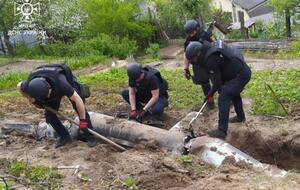 Чоловік виявив російську крилату ракету, коли навідався до свого господарства у Києві, розповіли у МВС України