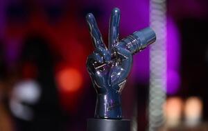 7 марта продюсеры объявили кастинг участников 13-го сезона шоу "Голос країни"