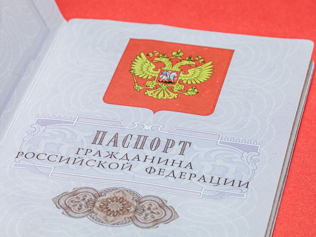 Россияне "вернулись к старой теме" &ndash; принудительной паспортизации украинцев на оккупированных территориях Запорожской области, отметил Федоров