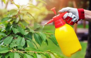 Листовая подкормка быстрее насыщает растение полезными веществами