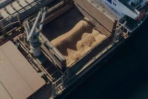 Сообщения о похищении Россией украинского зерна появляются регулярно