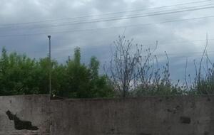 Окупанти з території РФ із мінометів обстріляли Миропільську громаду, зазначили в Сумській обласній прокуратурі