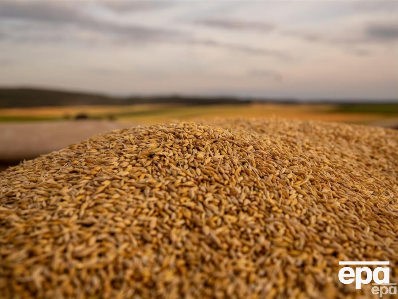 Чубаров считает, что&nbsp;"зерновой коридор" будет носить временный характер