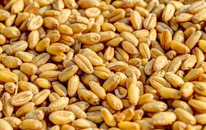 Глобальные цены на продовольствие за год снизились на 20%, отмечают в ООН