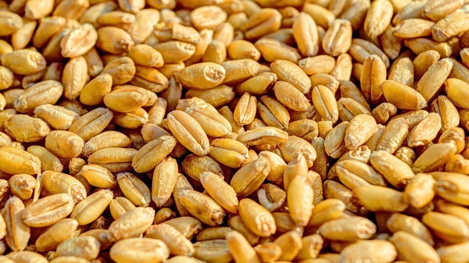 Глобальні ціни на продовольство за рік знизилися на 20%, зазначають в ООН