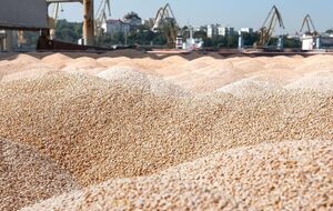 "Зерновое соглашение" разблокировали 17 мая, но до утра 19-го оно не работало