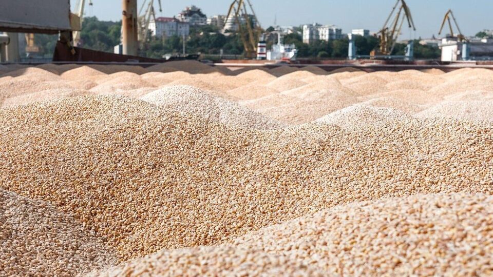 "Зерновое соглашение" разблокировали 17 мая, но до утра 19-го оно не работало