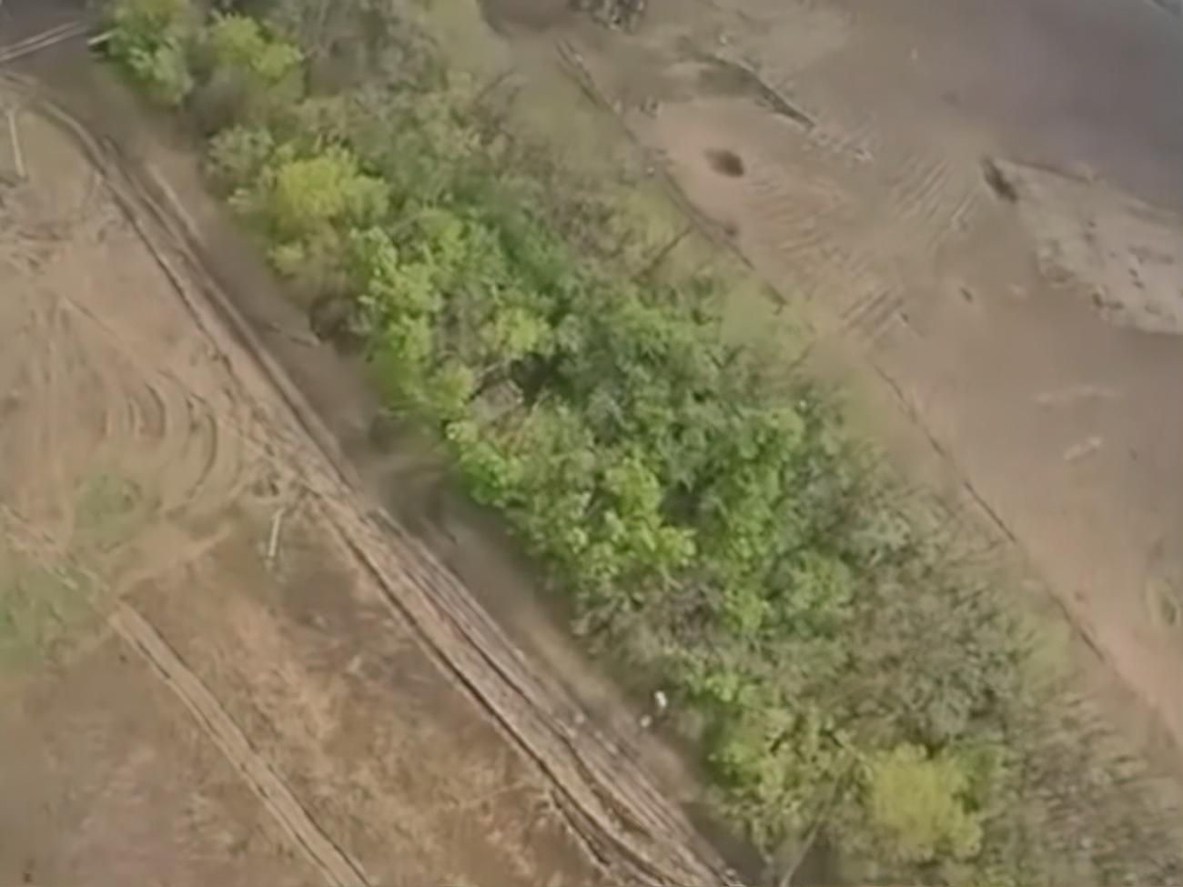 В январе спецподразделение ГУР Минобороны "Крылья" анонсировало создание собственной флотилии FPV дронов-камикадзе