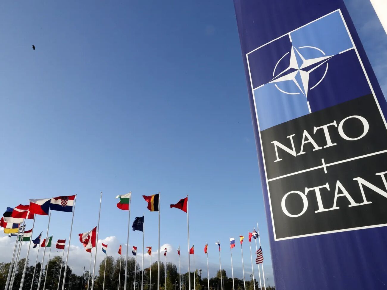 Реальні переговори про вступ України в Альянс будуть лише після перемоги України над Росією&nbsp;&ndash; джерело