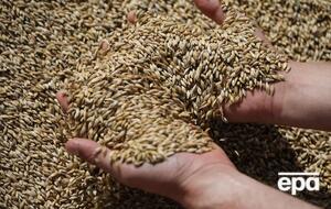 Украина не будет экспортировать пшеницу, кукурузу, рапс и семена подсолнечника в Болгарию, Польшу, Румынию, Словакию и Венгрию