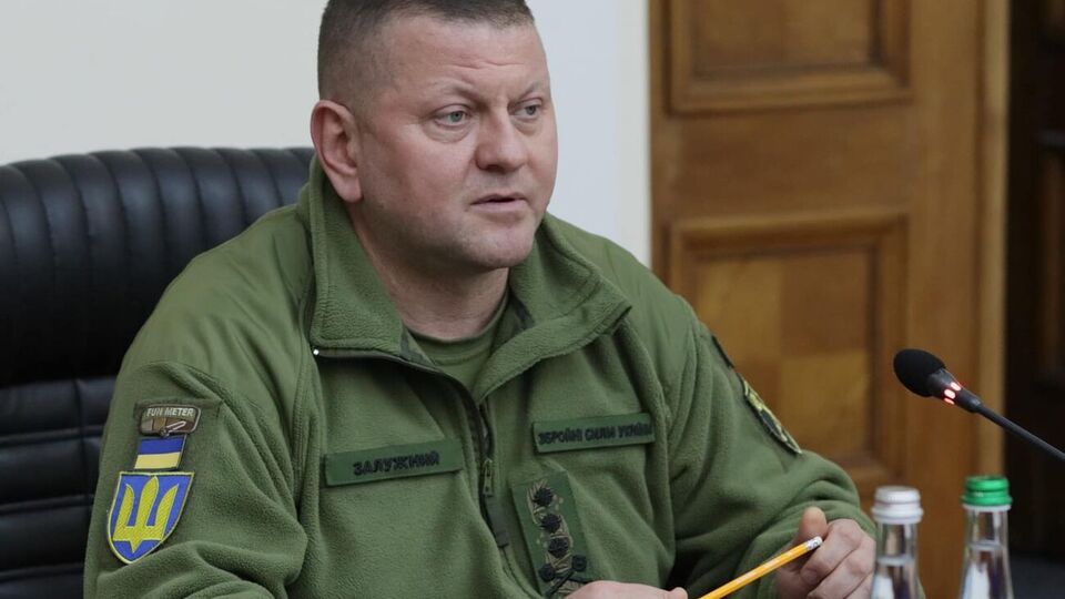 Маляр повідомила, що спілкувалася із Залужним 20 травня