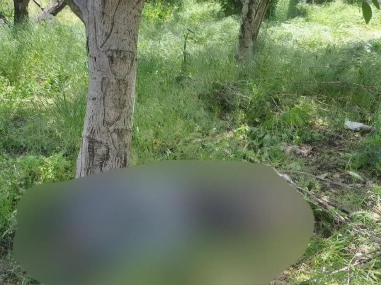 Обстріл був, попередньо, артилерійський, зазначили у прокуратурі