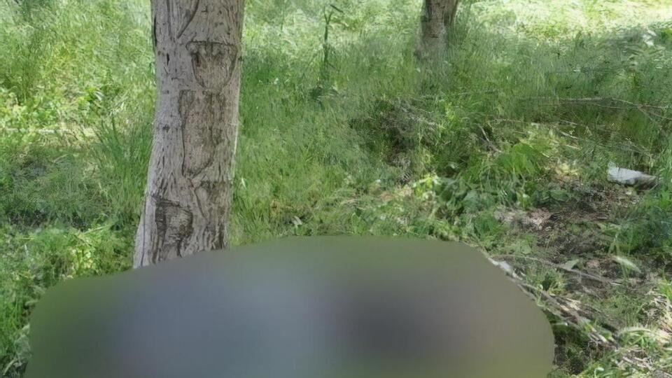 Обстріл був, попередньо, артилерійський, зазначили у прокуратурі