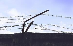 Российский криминалитет прячется на временно оккупированных территориях Украины от силовиков РФ