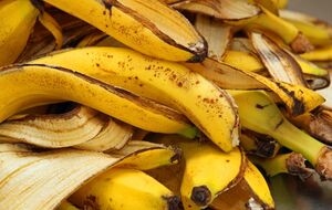 Использование банановой кожуры как органического удобрения имеет большое значение для роста и развития культур