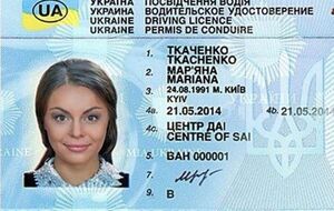 В приложении можно заказать как пластиковый, так и электронный документ