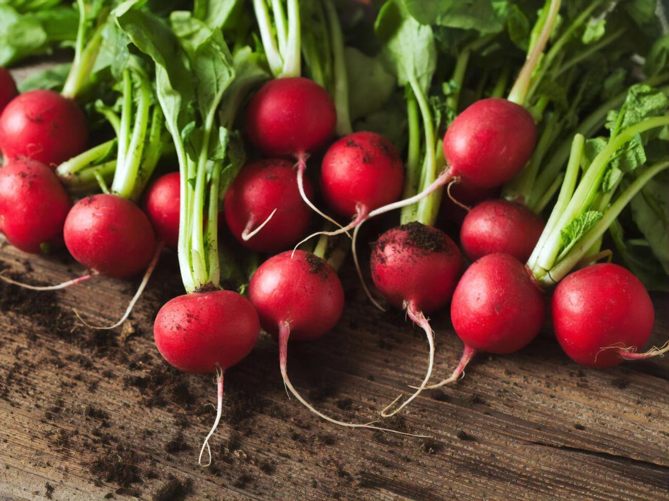 Редис нужно сажать в подготовленную почву