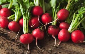 Редис нужно сажать в подготовленную почву