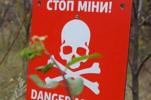 Швидкість розмінування залежатиме від площі й інтенсивності забруднення територій України, зазначив Клименко