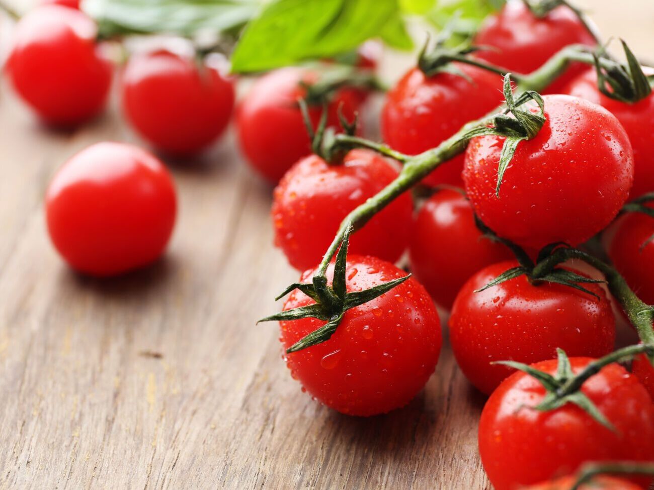 Эксперт советует перед нарезкой выложить томаты на пластиковую крышку квадратной формы, а сверху накрыть такой же, не прижимая