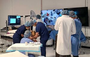 Ранее Neuralink испытывала импланты только на животных