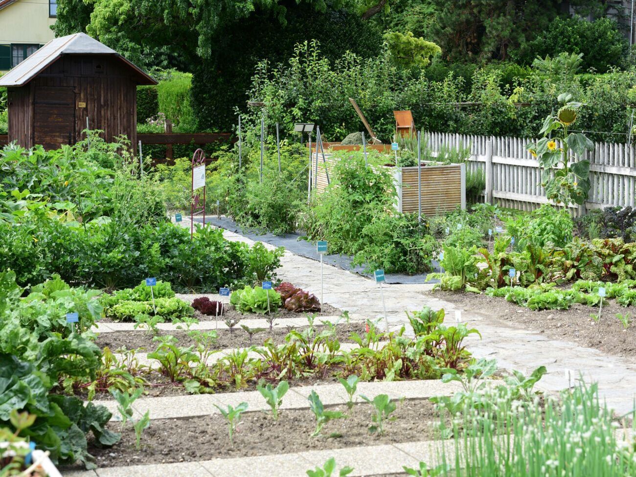 Если почва не богата питательными веществами, которые необходимы для развития растений, они перестанут расти