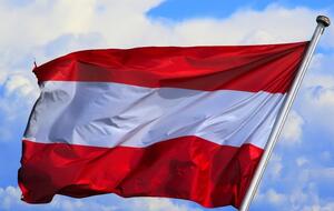 В Австрии были дискуссии относительно разминирования в Украине