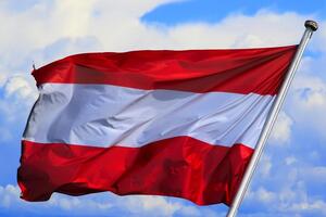 В Австрії були дискусії щодо розмінування в Україні