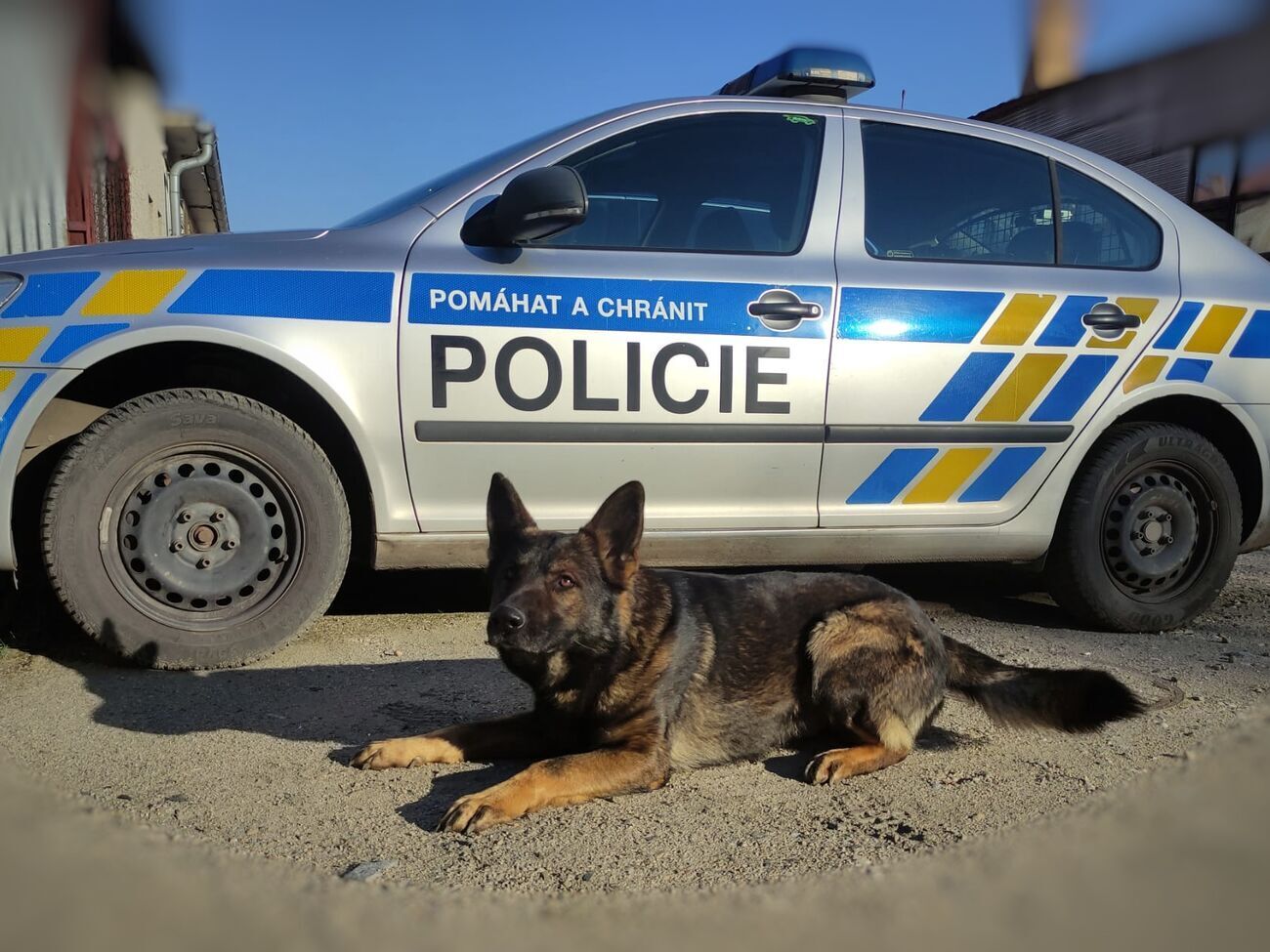 Чешская полиция проверяет информацию