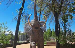 У зоопарк Харкова почали пускати відвідувачів