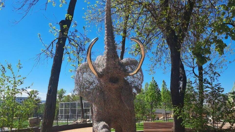 У зоопарк Харкова почали пускати відвідувачів