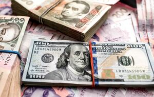 На прошлой неделе крупные системные банки начали снижать стоимость наличного доллара, отметила банкир