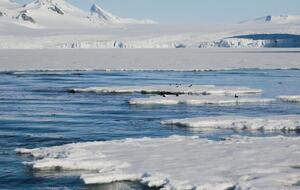 Россия ведет споры за территорию Арктики