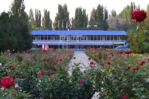 Принудительно эвакуированных детей вывозят в лагерь "Красная гвоздика", проинформировали в Бердянском райсовете