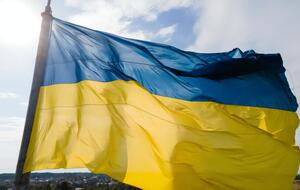 Украинские флаги разрешили использовать во время мероприятий на советских мемориалах в Берлине