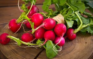 Клопотенко советует приготовить редис, жаренный на сливочном масле