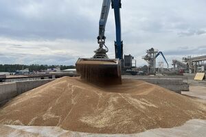 Экспорт украинской агропродукции по "зерновому коридору" в апреле "не дотянул и до 3 млн тонн", отметили в Минразвития общин