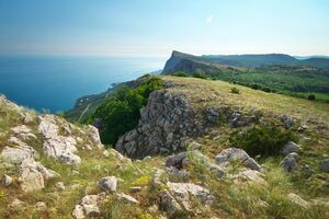 Россия оккупировала Крым в 2014 году