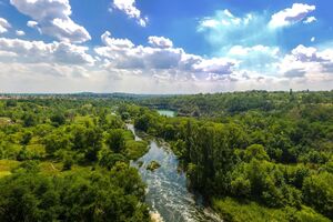 Проби з води Державна екологічна інспекція взяла 9 червня