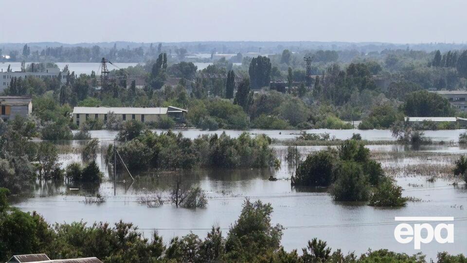Через підрив ГЕС затоплено приблизно 55 тис. га лісу