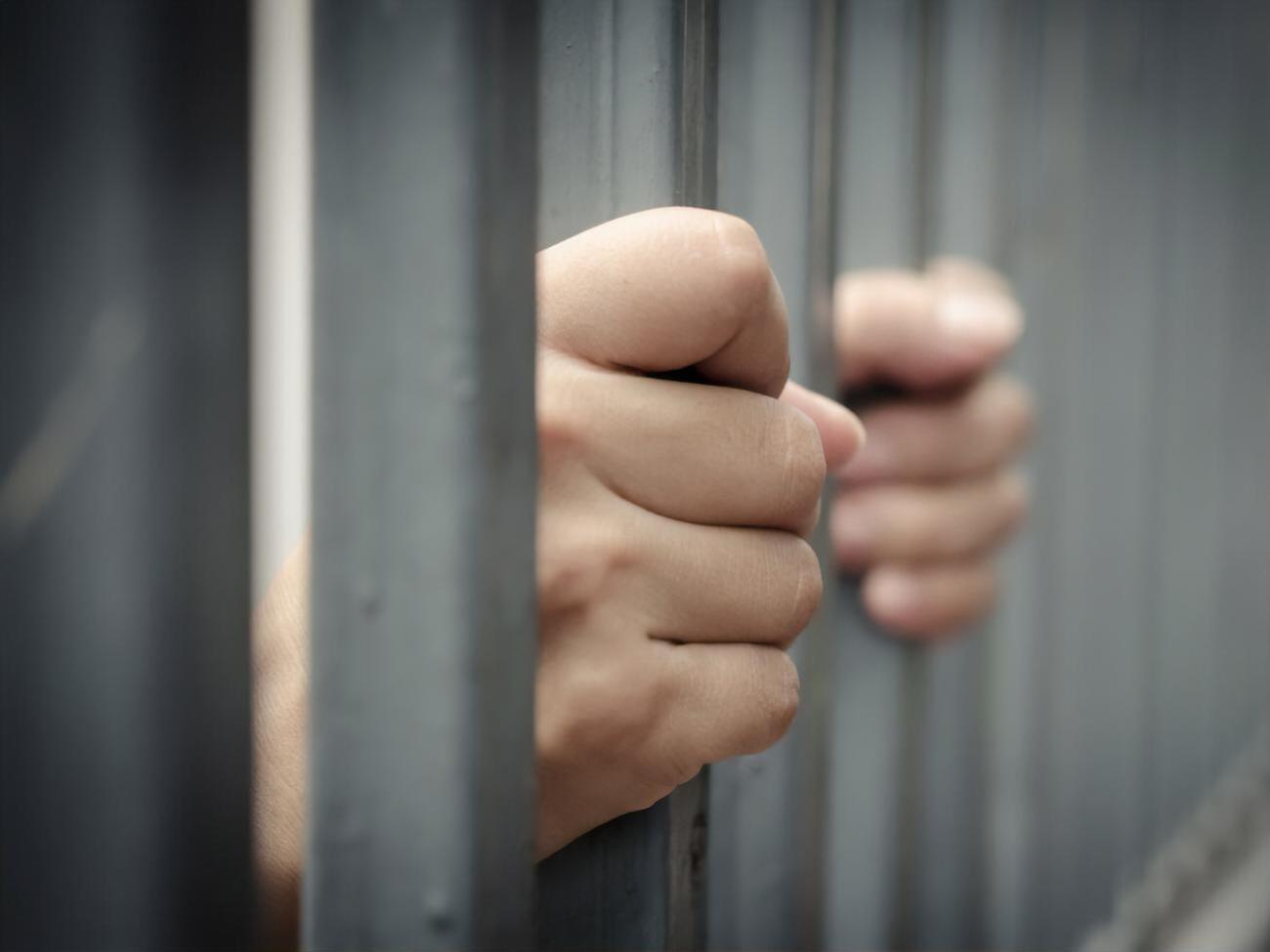 Ліка відправили під варту до 6 серпня