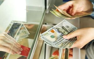 Банки и обменники обязаны принимать банкноты иностранной валюты, которые не имеют признаков износа, заявили в НБУ