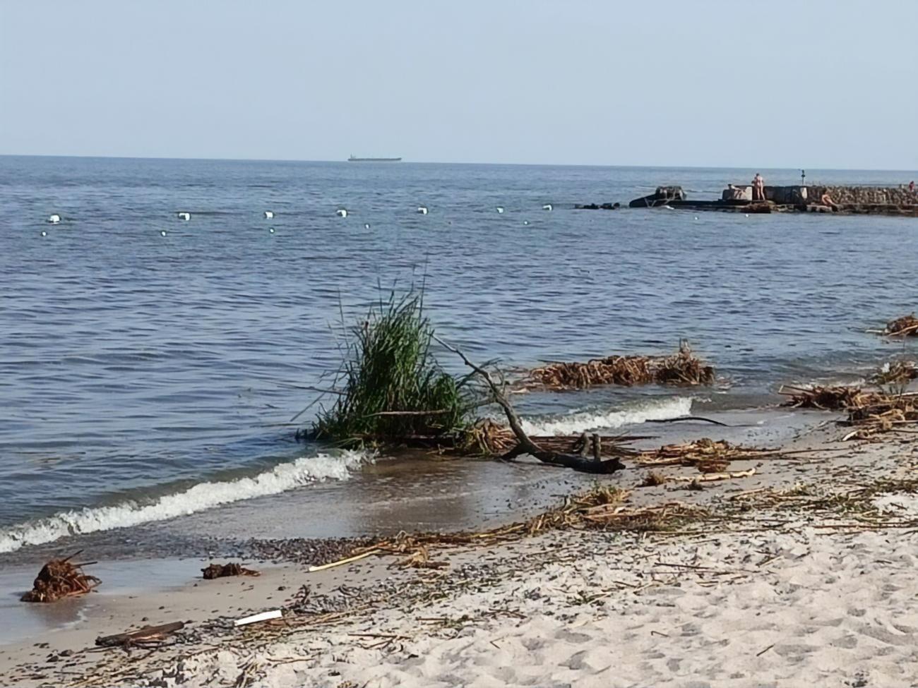 Вода в Черном море у побережья Одессы загрязнена из-за подрыва российскими оккупантами Каховской ГЭС