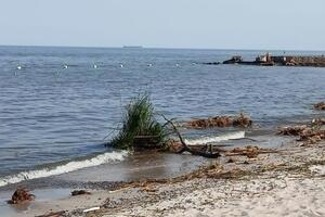 Вода в Чорному морі біля узбережжя Одеси забруднена через підрив російськими окупантами Каховської ГЕС