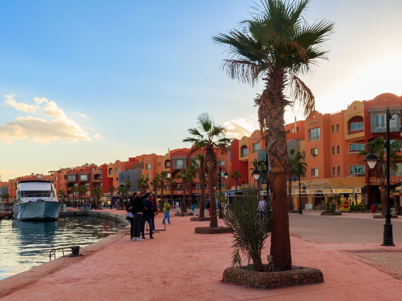 У Хургаді в музеї виставлять тіло акули, яка з'їла російського туриста