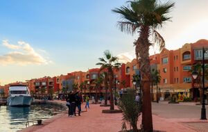 У Хургаді в музеї виставлять тіло акули, яка з'їла російського туриста