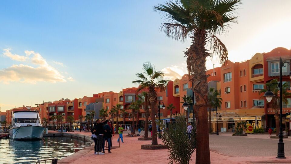 В Хургаде в музее выставят тело акулы, которая съела российского туриста