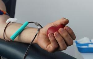 Подавляющее большинство работников посещали станции переливания крови уже многократно, отметили в компании