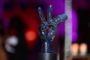 Коли відбудеться прем'єра 13-го сезону шоу "Голос країни", поки що невідомо